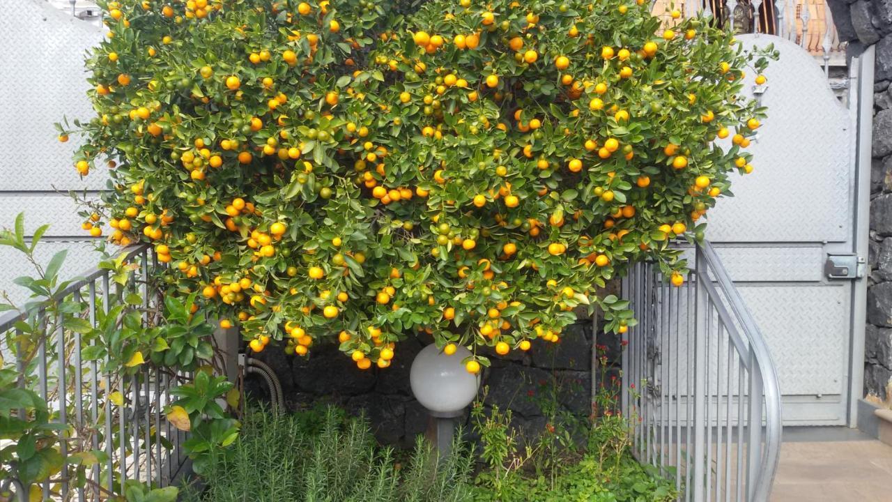 B&B Villa Liliya Fiumefreddo di Sicilia Buitenkant foto